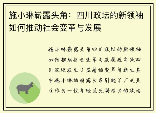 施小琳崭露头角：四川政坛的新领袖如何推动社会变革与发展