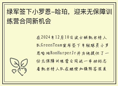 绿军签下小罗恩-哈珀，迎来无保障训练营合同新机会